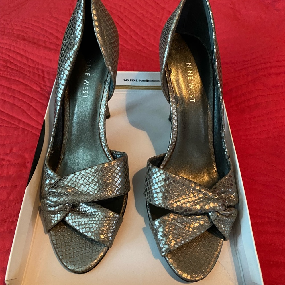 Silver Semi Shining Shoes